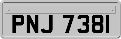 PNJ7381