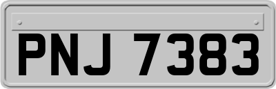 PNJ7383