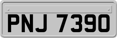 PNJ7390
