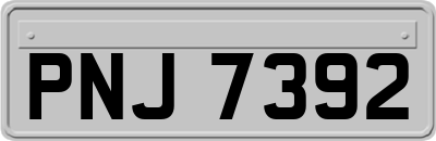 PNJ7392