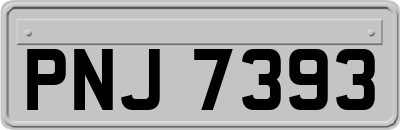 PNJ7393