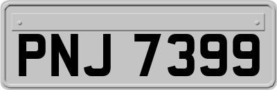 PNJ7399
