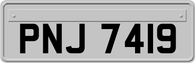 PNJ7419
