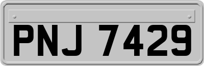 PNJ7429
