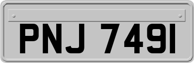 PNJ7491