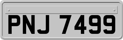 PNJ7499