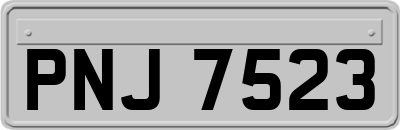 PNJ7523