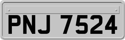 PNJ7524