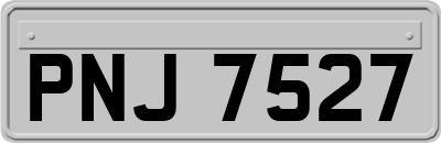 PNJ7527