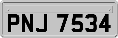 PNJ7534