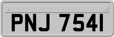 PNJ7541
