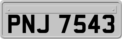 PNJ7543