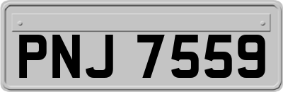 PNJ7559