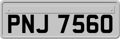 PNJ7560