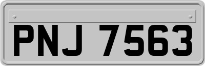 PNJ7563