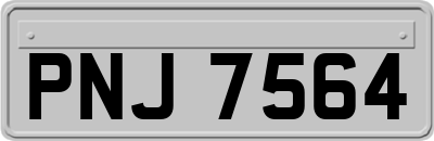 PNJ7564
