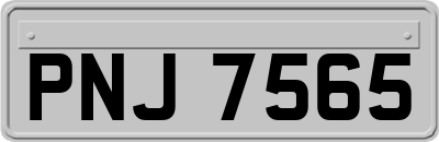 PNJ7565