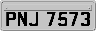PNJ7573