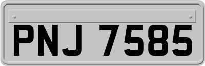 PNJ7585