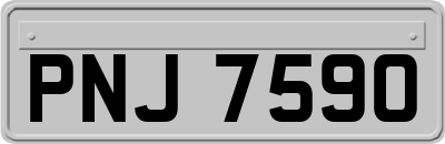 PNJ7590