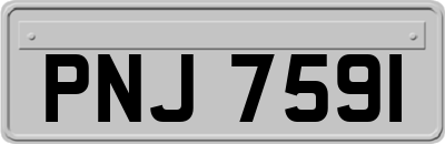 PNJ7591