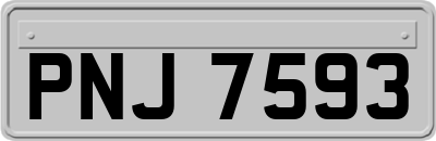 PNJ7593