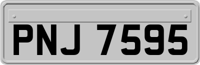 PNJ7595