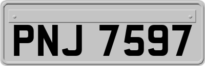 PNJ7597