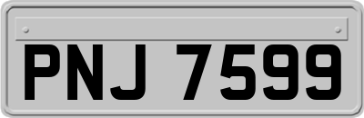PNJ7599