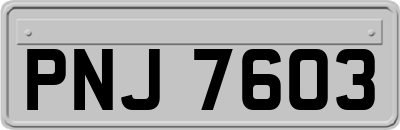 PNJ7603