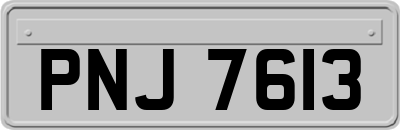PNJ7613