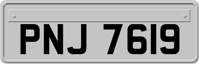 PNJ7619