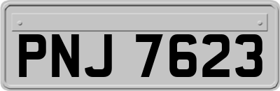 PNJ7623