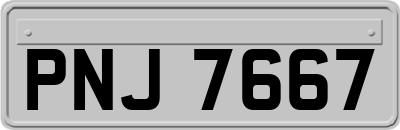 PNJ7667