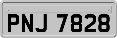 PNJ7828