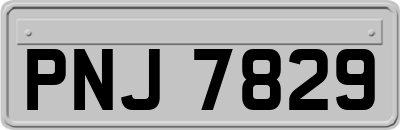 PNJ7829