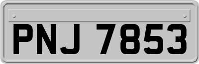 PNJ7853