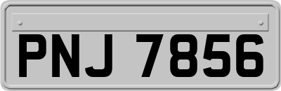 PNJ7856