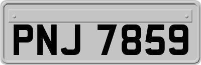 PNJ7859