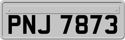PNJ7873