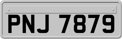 PNJ7879