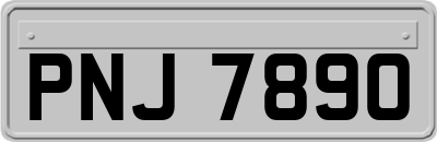 PNJ7890