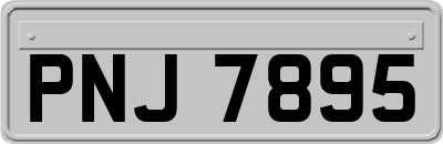 PNJ7895
