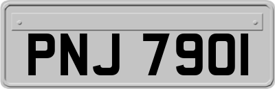 PNJ7901