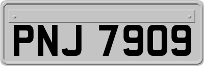 PNJ7909