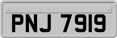 PNJ7919