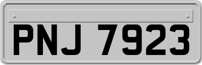 PNJ7923