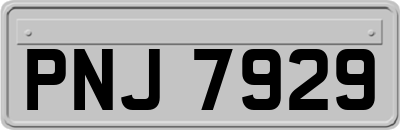 PNJ7929