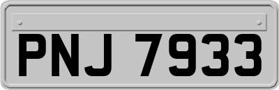 PNJ7933
