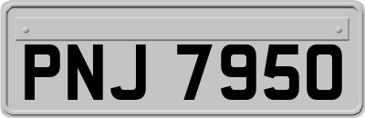 PNJ7950